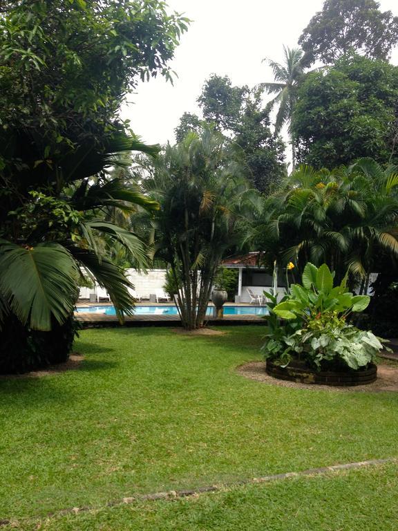 Hotel Fire Dragon Hideaway Negombo Esterno foto