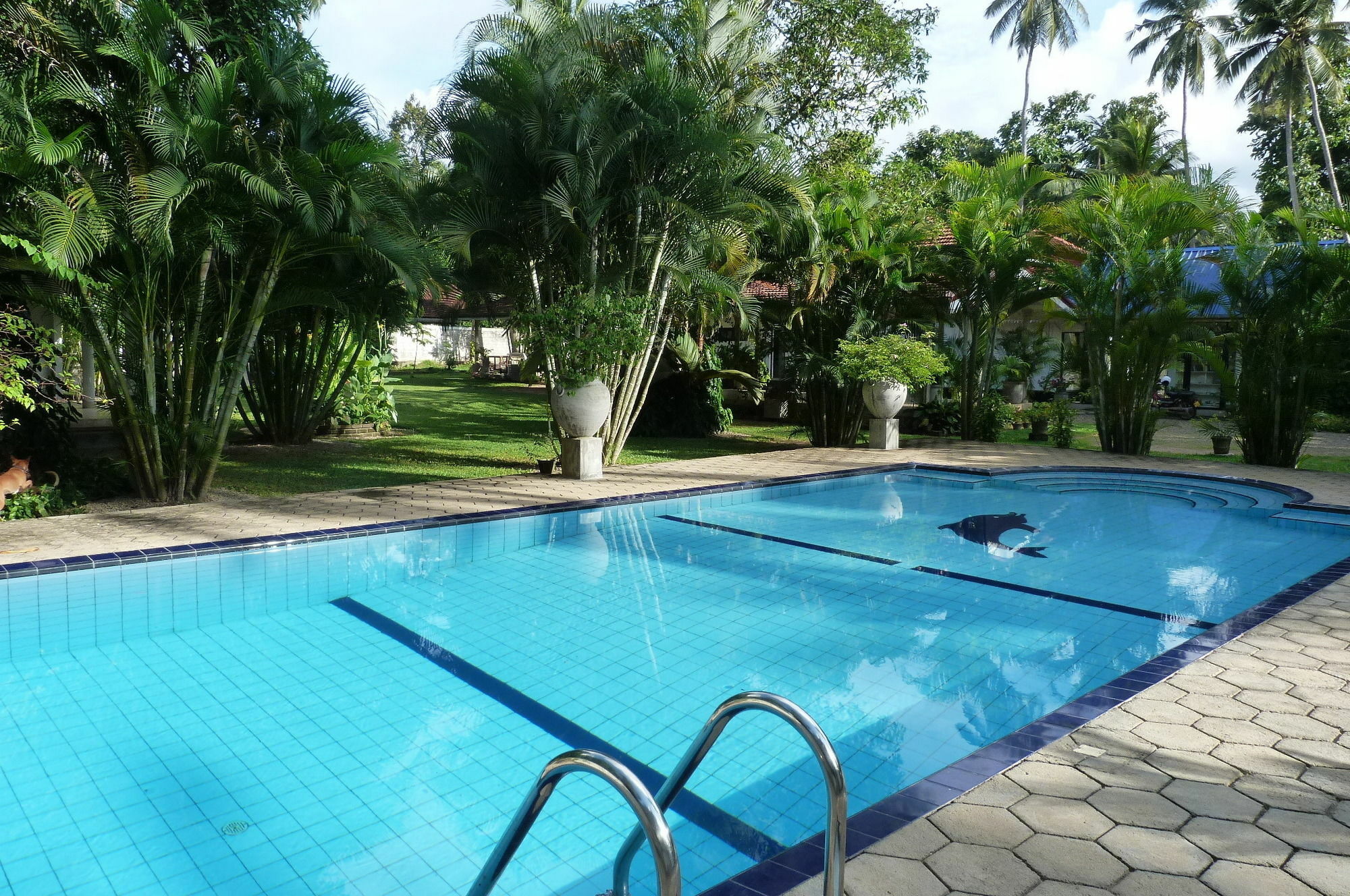 Hotel Fire Dragon Hideaway Negombo Esterno foto