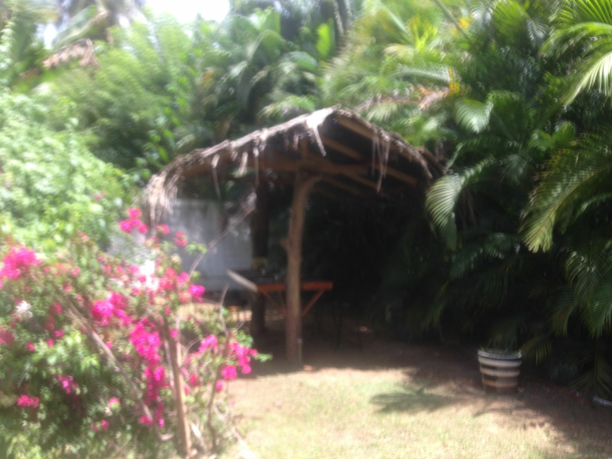 Hotel Fire Dragon Hideaway Negombo Esterno foto