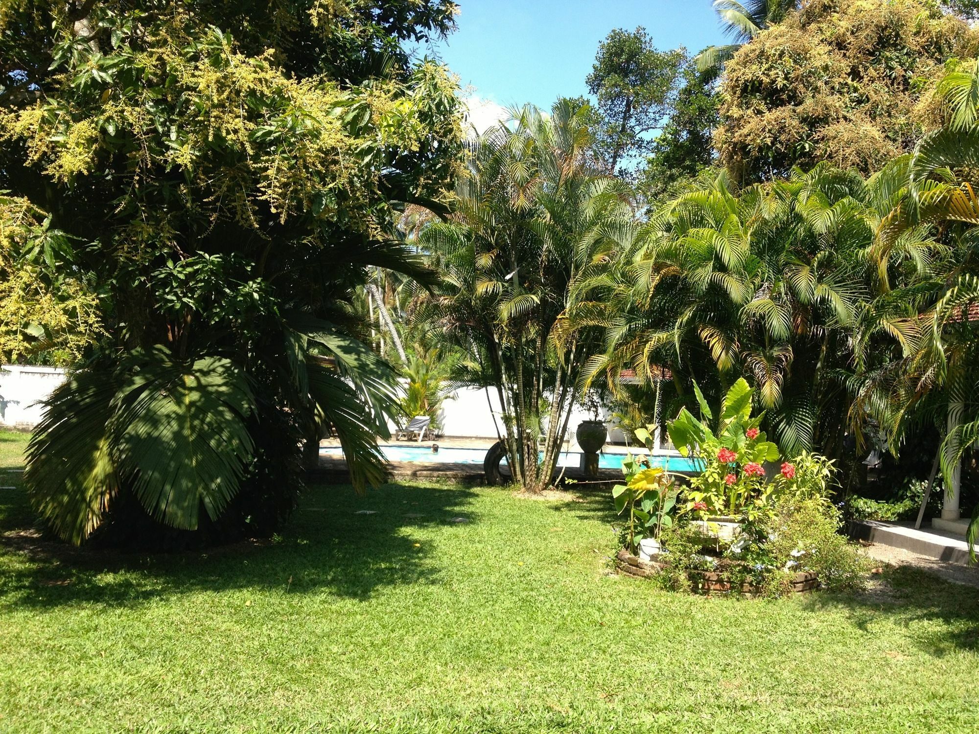 Hotel Fire Dragon Hideaway Negombo Esterno foto