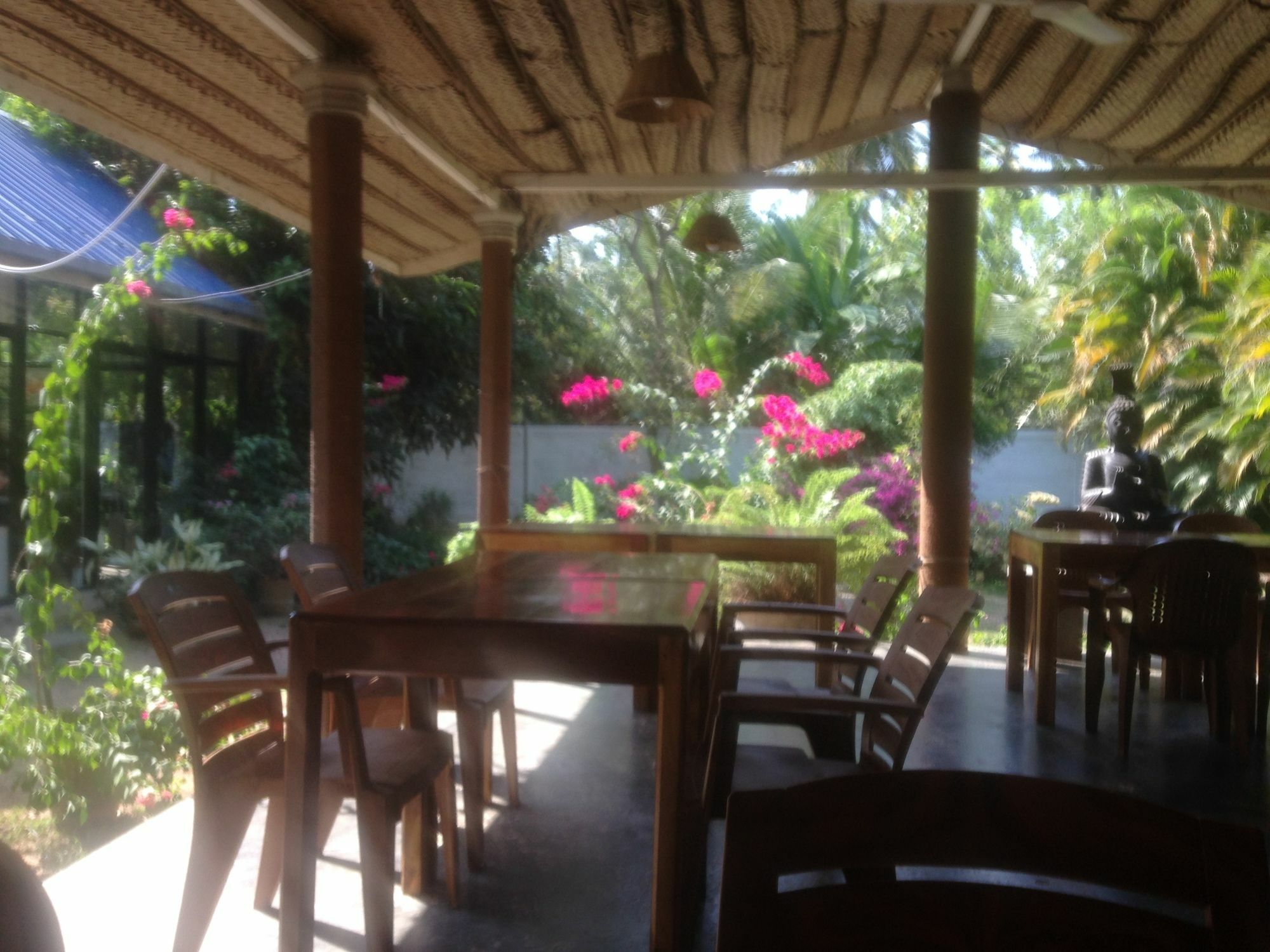 Hotel Fire Dragon Hideaway Negombo Esterno foto