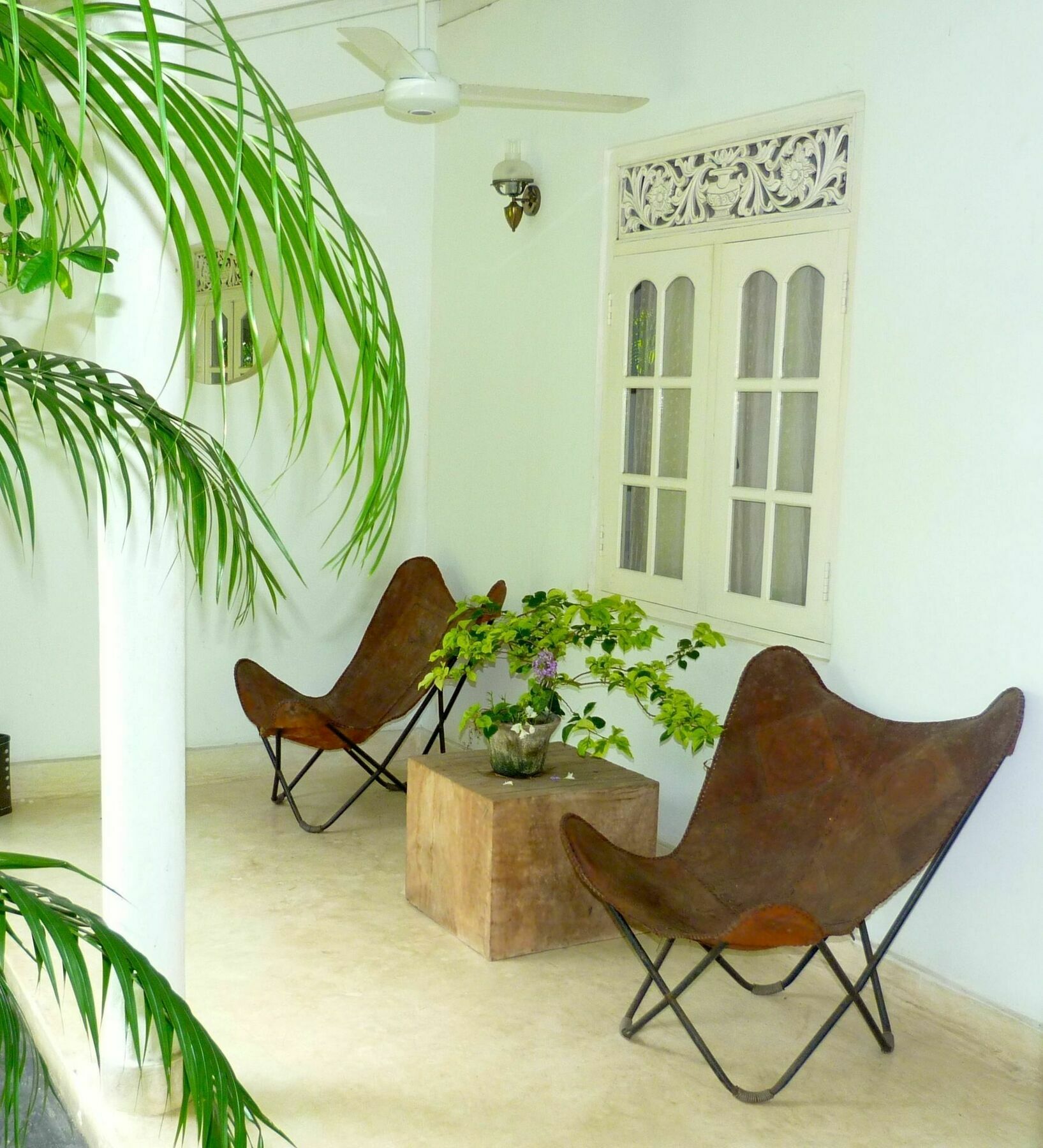 Hotel Fire Dragon Hideaway Negombo Esterno foto